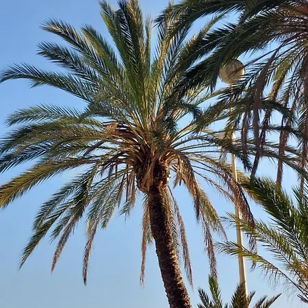 Centre - Sea View - Modern - Walking Distance And Palais Des Festivals Apartment Cannes